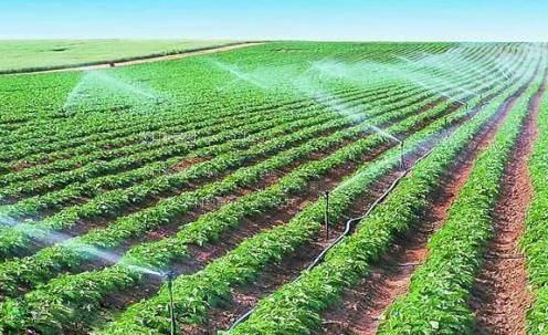 想看黑女人日B农田高 效节水灌溉